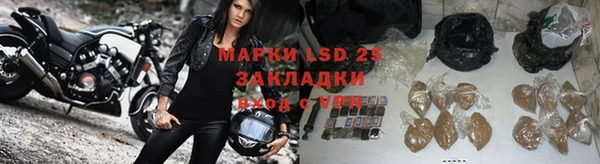 спайс Аркадак