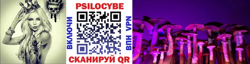 Галлюциногенные грибы Psilocybe Нижняя Тура